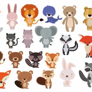 Ciências 2º Ano Fundamental – O mundo animal: a reprodução dos animais.