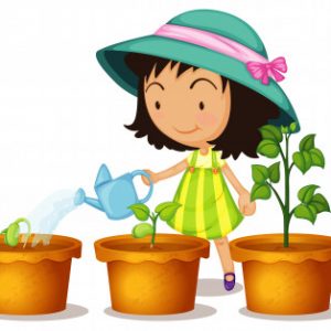 Ciências 2º Ano Fundamental – As estruturas constituintes dos vegetais e as suas funções.