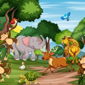 Ciências 3º Ano Fundamental – Os seres vivos, o ambiente e as relações que estabelecem entre si e conceito de ecossistema.