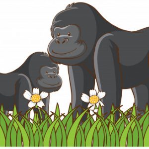 Ciências 2º Ano Fundamental – Os animais e as plantas ameaçados de extinção.