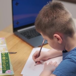 Ciências 7º Ano Fundamental – O Reino Animália, características dos animais invertebrados, Filo dos poríferos, cnidários, platelmintos, nematelmintos, moluscos, equinodermos, anelídeos e artrópodes.