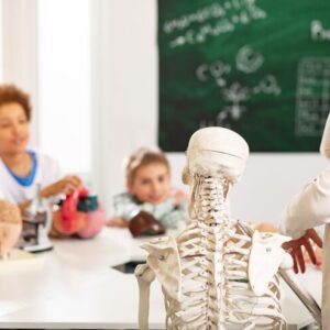 Plano de Aula Ciências – Como é o nosso corpo? 1º Ano do Ensino Fundamental.