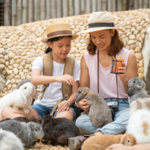 Apostila de Ciências – Os animais e as suas características externas: comparando os grupos de animais – Habilidade BNCC: EF03CI06.