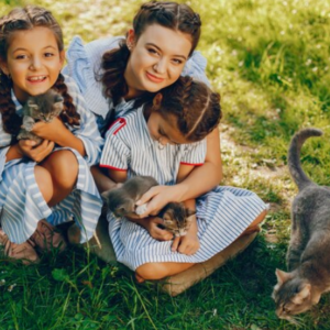 Apostila de Ciências – Os animais e as suas características externas: organizando os animais em grupos – Habilidade BNCC: EF03CI06.